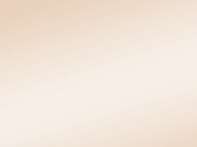 Bronze Mirror Bronze Mirror