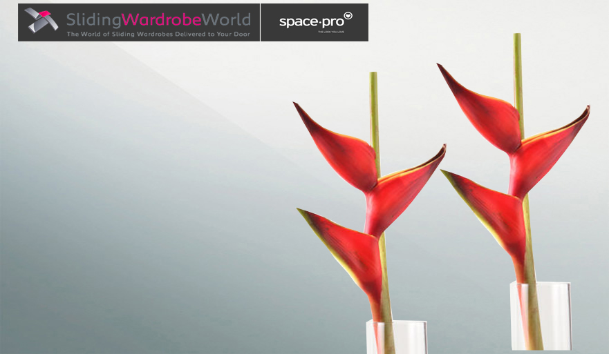 Normal (Silver) Mirror - Sliding Wardrobe World™ SpacePro™ Normal (Silver) Mirror - Sliding Wardrobe World™ SpacePro™