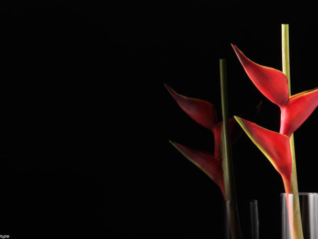 Classic Black Glass Lacobel Classic Black Glass