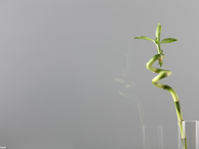 Metal Grey Glass Lacobel Metal Grey Glass