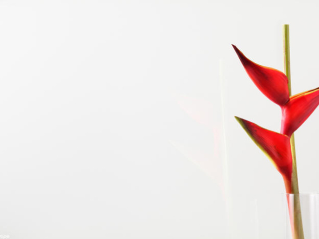 Soft White Glass Lacobel Soft White Glass