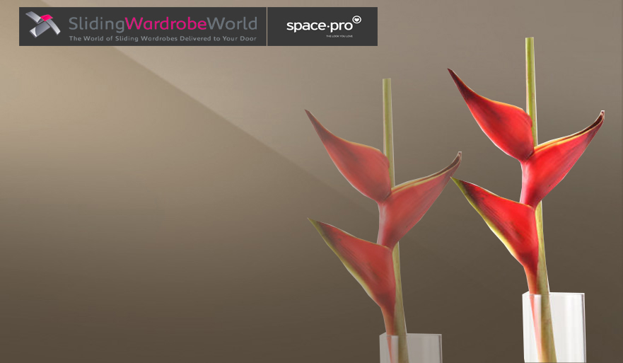 Bronze Mirror - Sliding Wardrobe World ™ SpacePro™ Bronze Mirror - Sliding Wardrobe World ™ SpacePro™