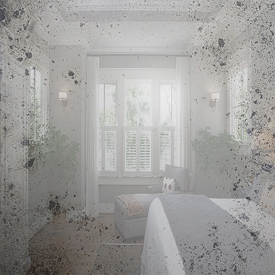 Antique Silver Mirror(Price Cat F+) Antique Silver Mirror(Price Cat F+)