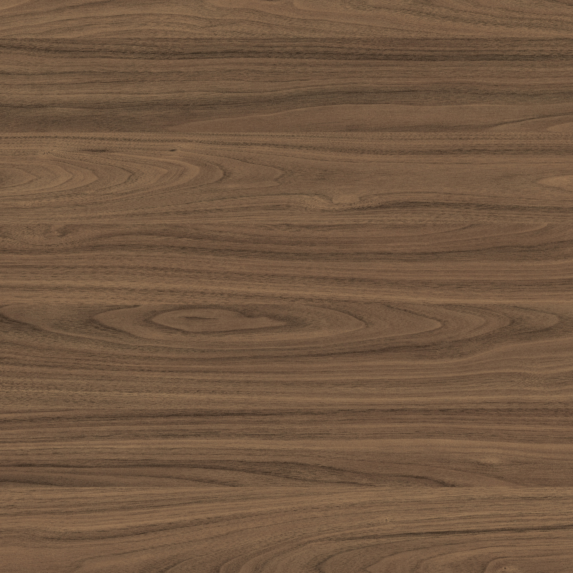 Carini Walnut Colour Swatch